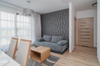 TOTU HOME Jaglana Old Town Apartment SPA&Wellness - Danzig - 6