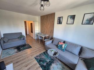 Green Apartment - Gdańsk - 8