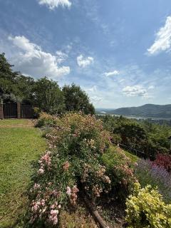 Forestin Villa Panorama - Nagymaros - 7