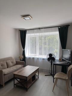 Ezera Solo tiny apartment - Rīga - 7