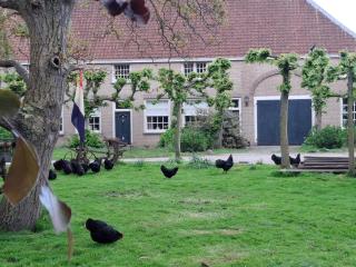 Pauwenhof - Klaaswaal - 3