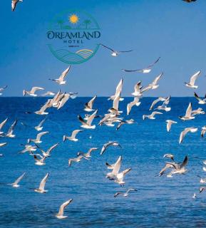 DREAMLAND HOTEL - Orbi City - Batumi - 4