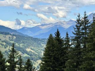 Résidence Lauziere Dessus - La Lauzière Dessus 14 - Crève Coeur MAE-2313 - Valmorel - 1