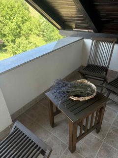 Apartma Lavanda - Zavrč - 8