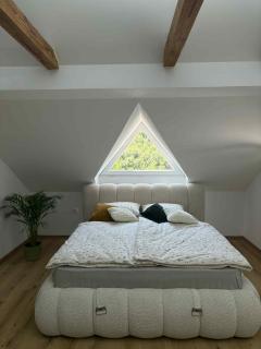 Apartma Lavanda - Zavrč - 5