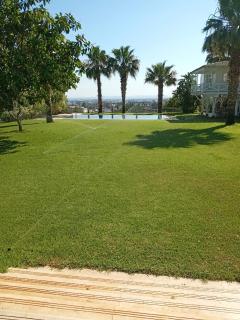 Villa sonia - - 8
