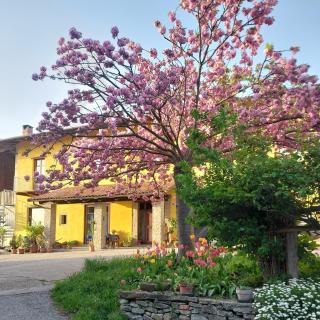 AGRITURISMO DA RICCARDO - Bossolasco - 1