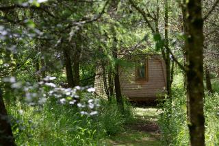 Cwtch Woodland Camp - Rosemarket - 0