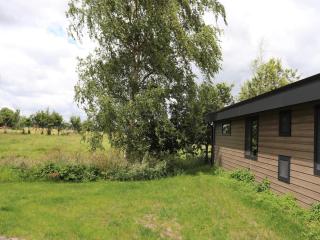 Spacious chalet in a rural location near Giethoorn - Blesdijke - 8