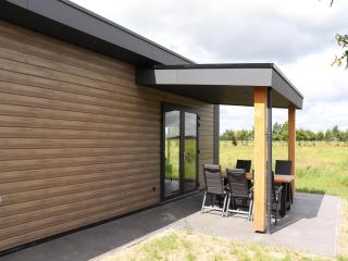 Spacious chalet in a rural location near Giethoorn - Blesdijke - 1