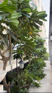 Hotel-Style Studio with Private Balcony - Riad - 7