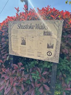 Beautiful Village Home - Shustoke - 3