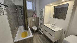 Appart Nancy avec vue sur Meurthe - Nancy - 3