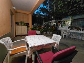 Snežana - 3