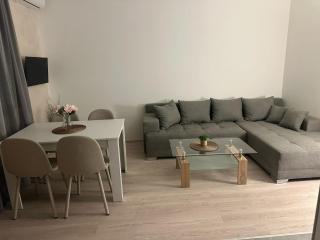 Apt 6- Sokobanjica apartmani - Soko Banja - 7