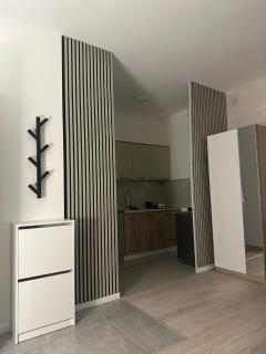 Apt 6- Sokobanjica apartmani - 1