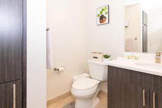 DT 2BR 2BA Luxe Suite Walkable Gym Pool Parking - Silver Spring - 7