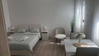 Apt 3- Sokobanjica apartmani - 5