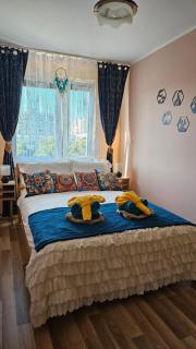 Apartament SAFARI - Toruń - 3