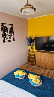 Apartament SAFARI - Toruń - 1