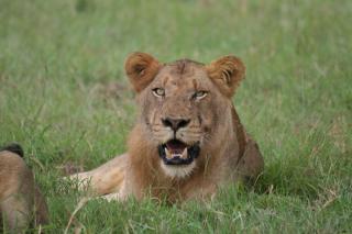 Umkumbe Safari Lodge River Side - - 4