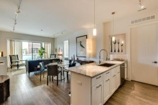 Designer 3BR with Balcony & Elevator on Clark! apts - 6