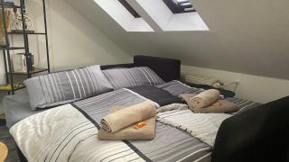 Wunderschöne großzügige Neustadtwohnung - 6