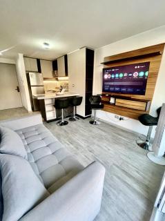 1H1B Departamento Movistar Arena , Sofa cama, Piscina - Santiago - 5