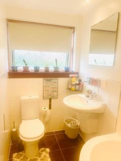 Cozy Room in Glasgow West End - Bearsden - 1
