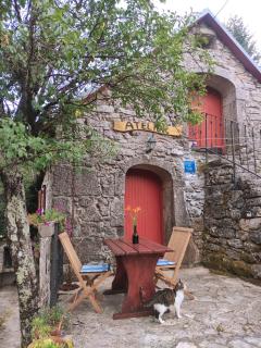 Country House Atelier - Zvoneća - 9