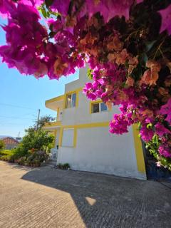 Xhemi's Home&Garden - Saranda - 0