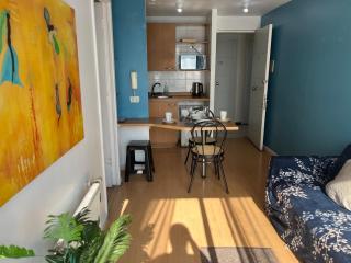 Apartment Relocation San Isidro - Santiago - 4
