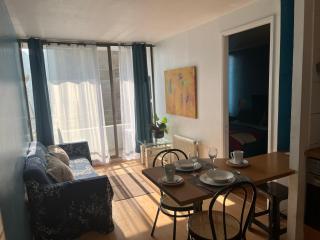 Apartment Relocation San Isidro - Santiago - 5