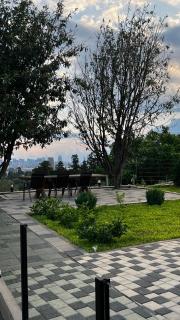 sky village batumi - 6