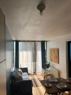 Apartment Relocation San Isidro - Santiago - 6
