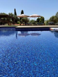 Pomar da Choca Country House - Alenquer - 9