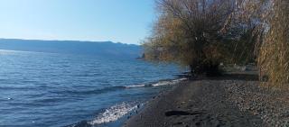 Cabañas Quilacoyan entre Villarrica y Pucon - 1