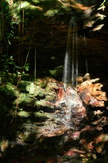 Posada Casa del Sol - Caracas - 5