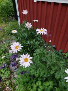 House Party - Karlskoga - 6