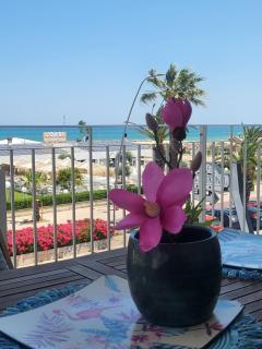 Sea Home Sunrise - Tortoreto Lido - 7
