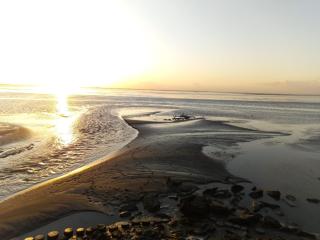 Haus Havglück - Urlaubsglück an der Nordsee - Sehestedt - 4