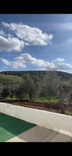 بيت النجيله الريفي - Ajloun - 4