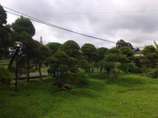 batu endah - 5