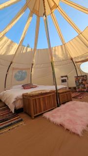 Ofidaki Glamping - Vama Veche - 9