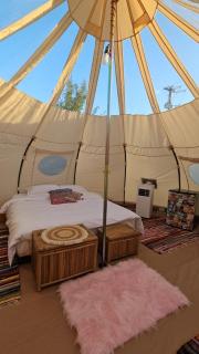 Ofidaki Glamping - Vama Veche - 8