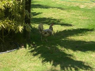 apartamento con piscina con vista al mar - 4