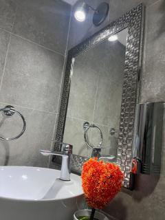 Hotel Venedik - Veracruz - 8
