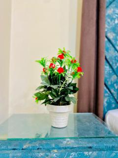 Decent In Guest House - Islamabad - 1