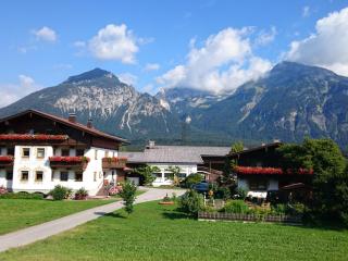 Schleicherhof V - Strass im Zillertal - 9