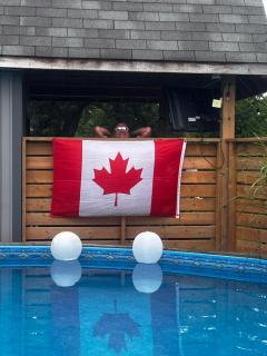 Sunset Suites in Niagara Wine Country - Niagara on the Lake - 4